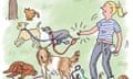 Edith Pritchett cartoon on dog walking and organising group events on WhatsApp