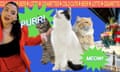 graphic of a woman and cats with the text boxes 'purr!' 'meow!'