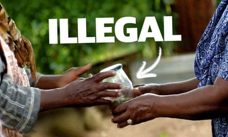 How philanthropists are destroying African farms