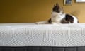 Testing the Panda Hybrid bamboo mattress