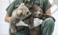 Two bear cubs who were rescued in Bursa, Turkey.