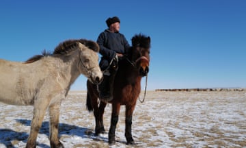A man on a horse holds the halter of a second horse