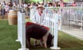 Pig Handling Competition at the Sydney Royal Easter Show, Monday April 14, 2025. Sydney, New South Wales, Australia. Asher Blenkiron, seven years old, loves showing her family’s pigs from their Keyneton stud in South Australia. She is competing in the Under 13s Pig Handling competition. This is her second year competing.