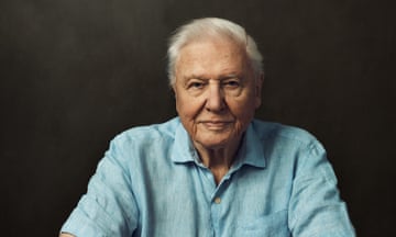 Head and shoulders shot of David Attenborough in blue shirt against dark background