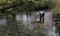 An ecologist stands in a river taking a water sample in a bucket.