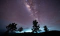 Trees silhouetted by the Milky Way