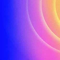 Morning Mail newsletter image